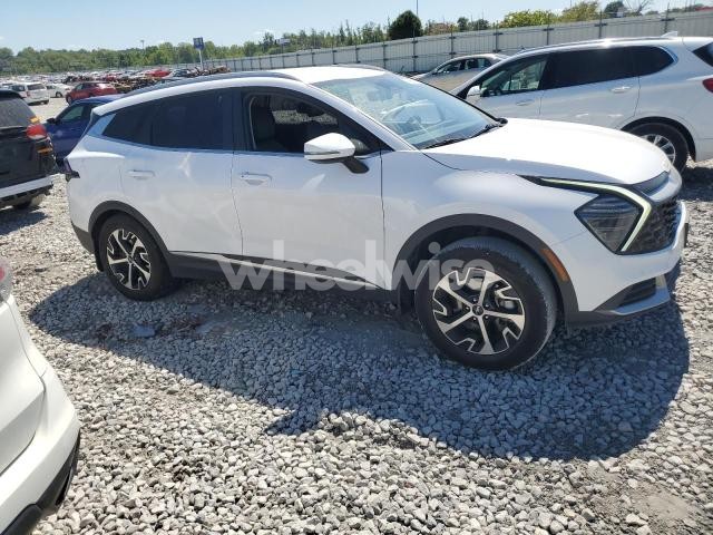 Photo 5 of 2024 KIA SPORTAGE EX (VIN 5XYK3CDFXRG211486)