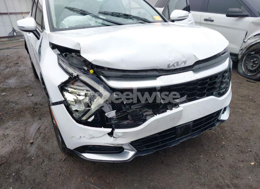 Photo 6 of 2023 Kia Sportage SX (VIN 5XYK43AF0PG057207)