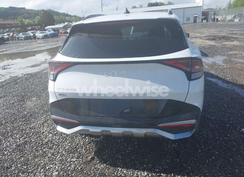 Photo 16 of 2023 Kia Sportage SX (VIN 5XYK43AF3PG052261)