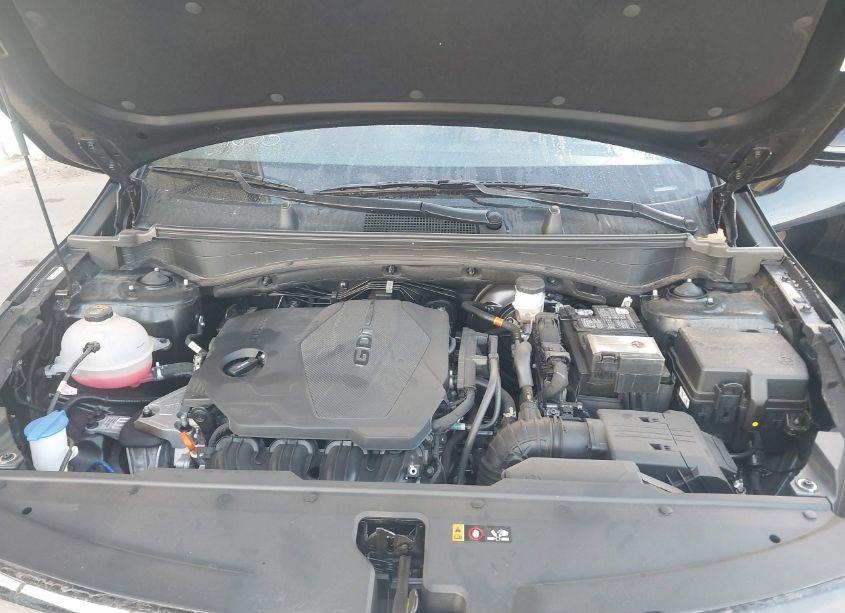 Photo 10 of 2024 Kia Sportage SX (VIN 5XYK43DF0RG146791)