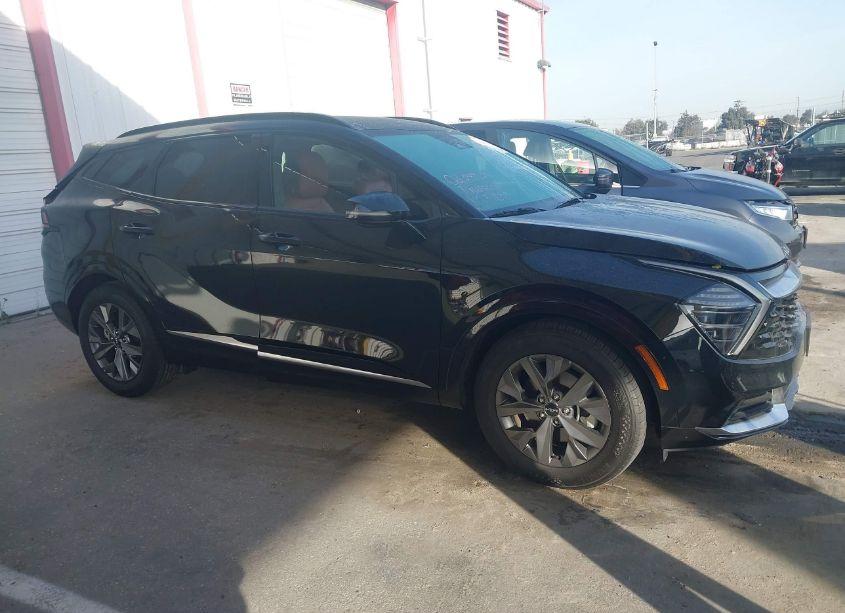 Photo 13 of 2024 Kia Sportage SX (VIN 5XYK43DF0RG146791)