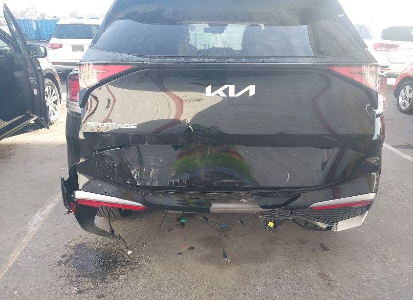 Photo 6 of 2024 Kia Sportage SX (VIN 5XYK43DF0RG146791)