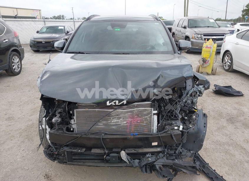 Photo 6 of 2024 Kia Sportage SX (VIN 5XYK43DF1RG157279)