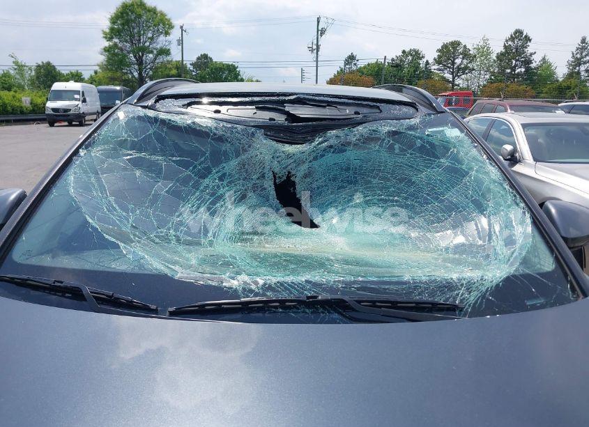 Photo 6 of 2024 Kia Sportage SX (VIN 5XYK43DF2RG142032)