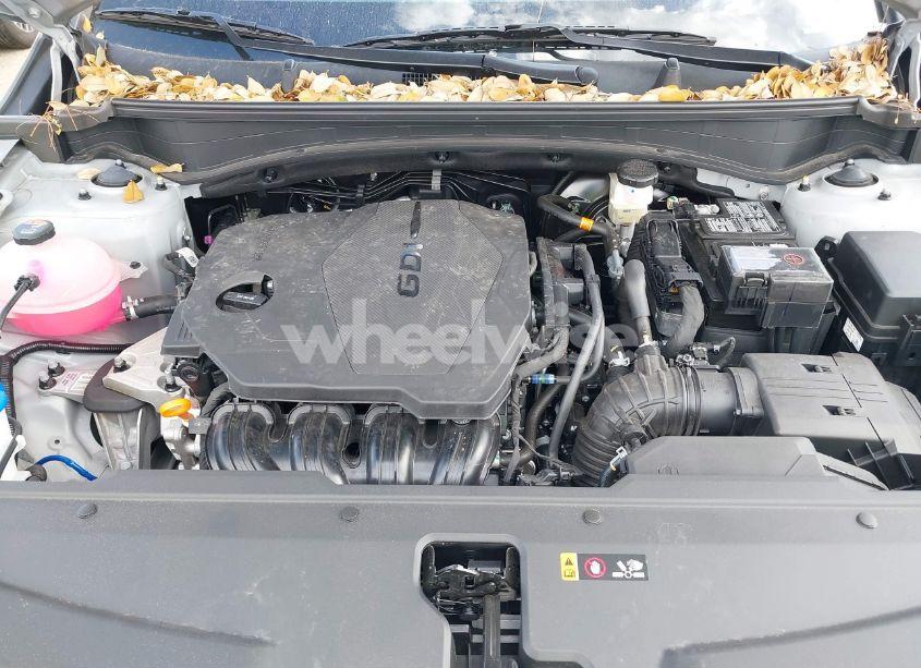 Photo 10 of 2025 Kia Sportage SX (VIN 5XYK43DF3SG246535)