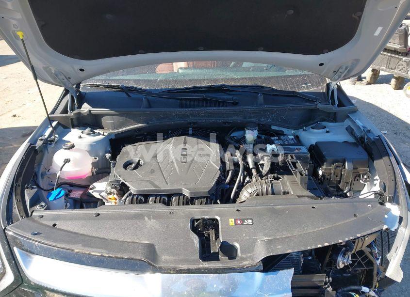 Photo 10 of 2024 Kia Sportage SX (VIN 5XYK43DF7RG221924)
