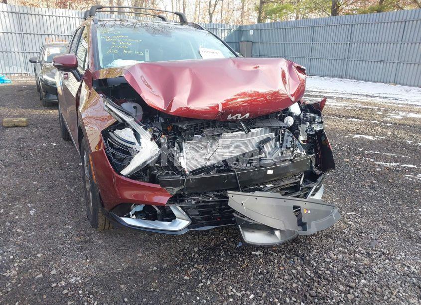 Photo 17 of 2025 Kia Sportage SX (VIN 5XYK43DF7SG242603)