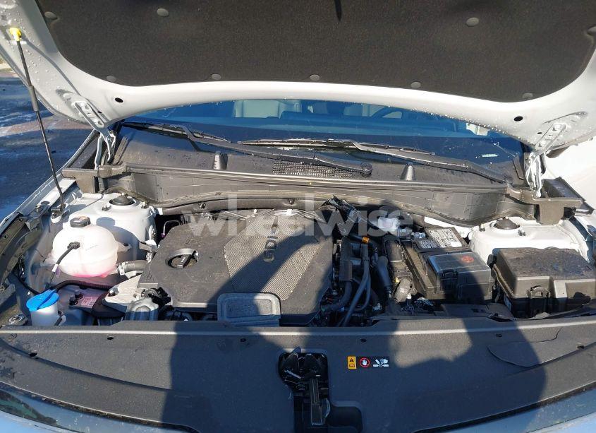 Photo 10 of 2024 Kia Sportage SX (VIN 5XYK43DF8RG187525)