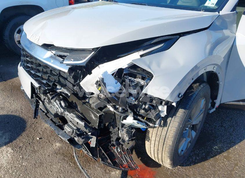 Photo 6 of 2024 Kia Sportage SX (VIN 5XYK43DF8RG187525)