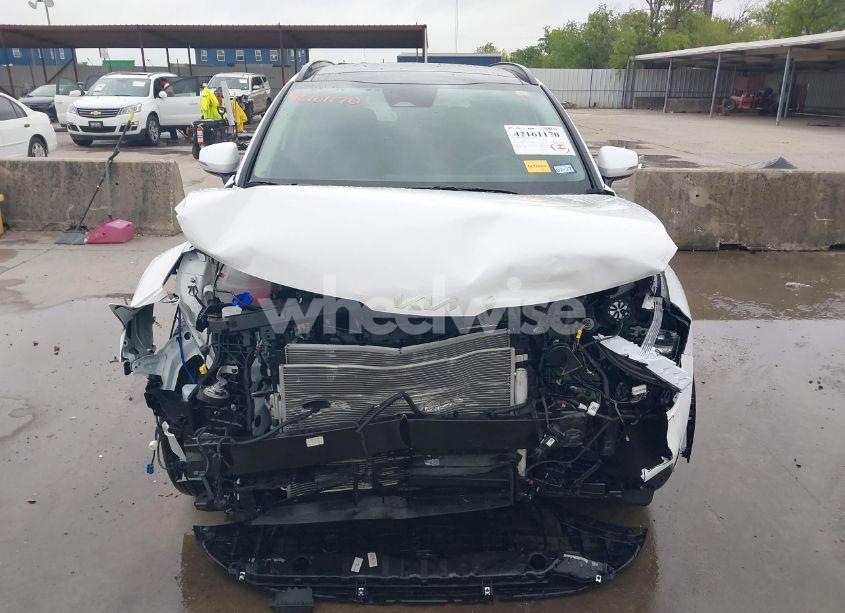 Photo 13 of 2025 Kia Sportage SX (VIN 5XYK43DF9SG295349)