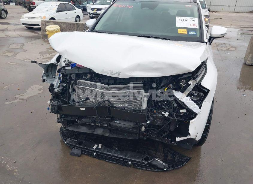 Photo 6 of 2025 Kia Sportage SX (VIN 5XYK43DF9SG295349)