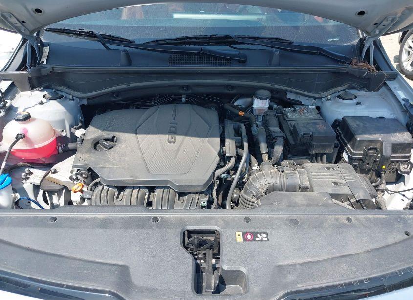 Photo 10 of 2023 Kia Sportage SX-PRESTIGE (VIN 5XYK53AF5PG039492)