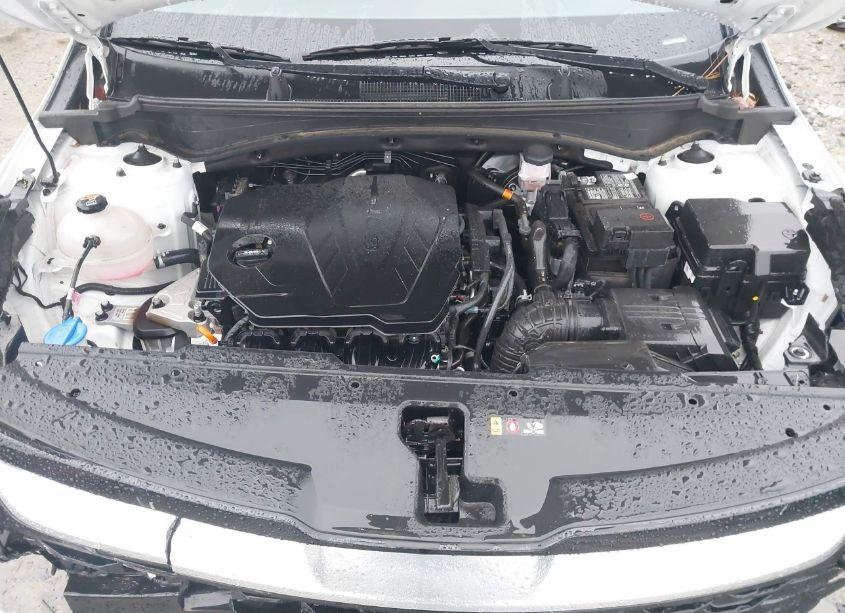 Photo 10 of 2023 Kia Sportage SX-PRESTIGE (VIN 5XYK53AF5PG054882)