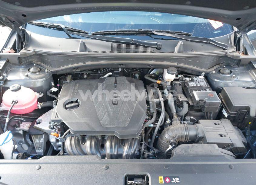 Photo 10 of 2024 Kia Sportage SX-PRESTIGE (VIN 5XYK53DFXRG176698)