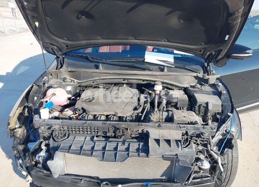 Photo 10 of 2023 Kia Sportage SX-PRESTIGE (VIN 5XYK5CAF4PG002448)