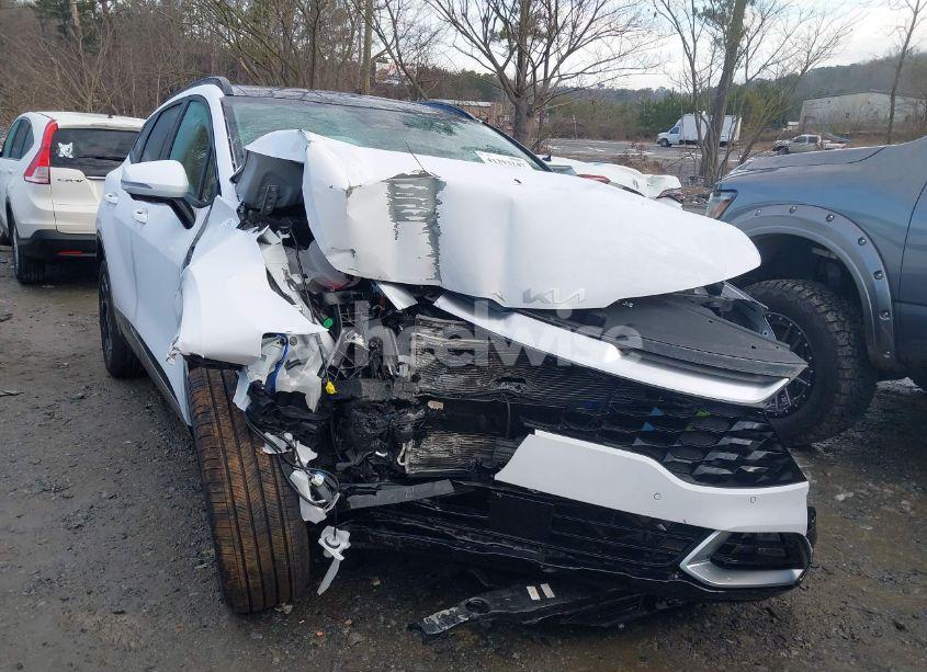 2024 Kia Sportage SX-PRESTIGE (VIN 5XYK5CDF1RG194555) main photo