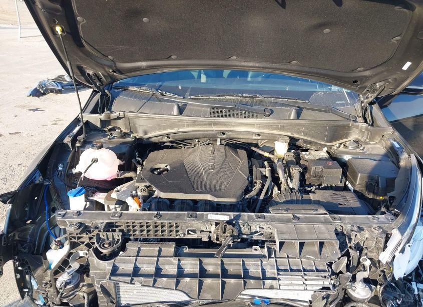 Photo 10 of 2024 Kia Sportage SX-PRESTIGE (VIN 5XYK5CDF3RG226342)