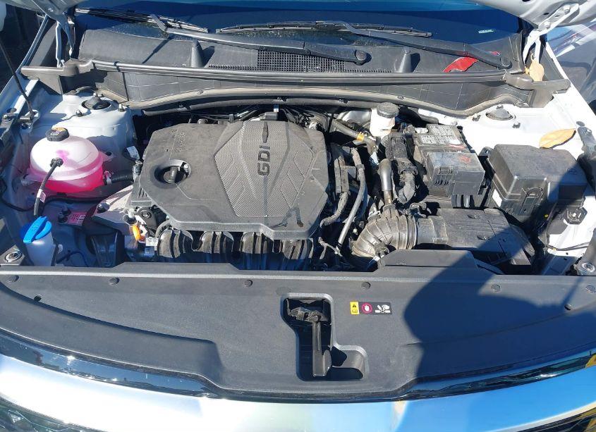 Photo 10 of 2024 Kia Sportage SX-PRESTIGE (VIN 5XYK5CDF7RG199680)