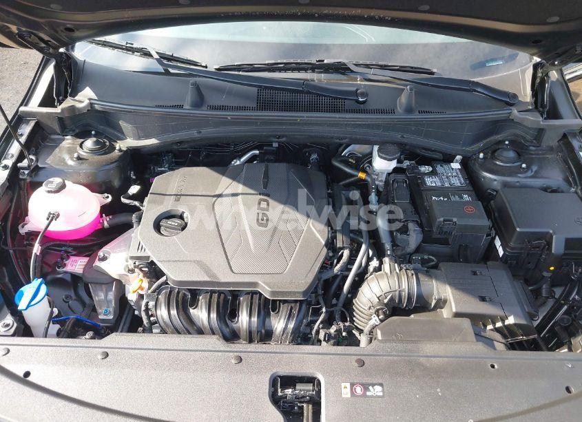 Photo 10 of 2024 Kia Sportage SX-PRESTIGE (VIN 5XYK5CDF8RG217393)