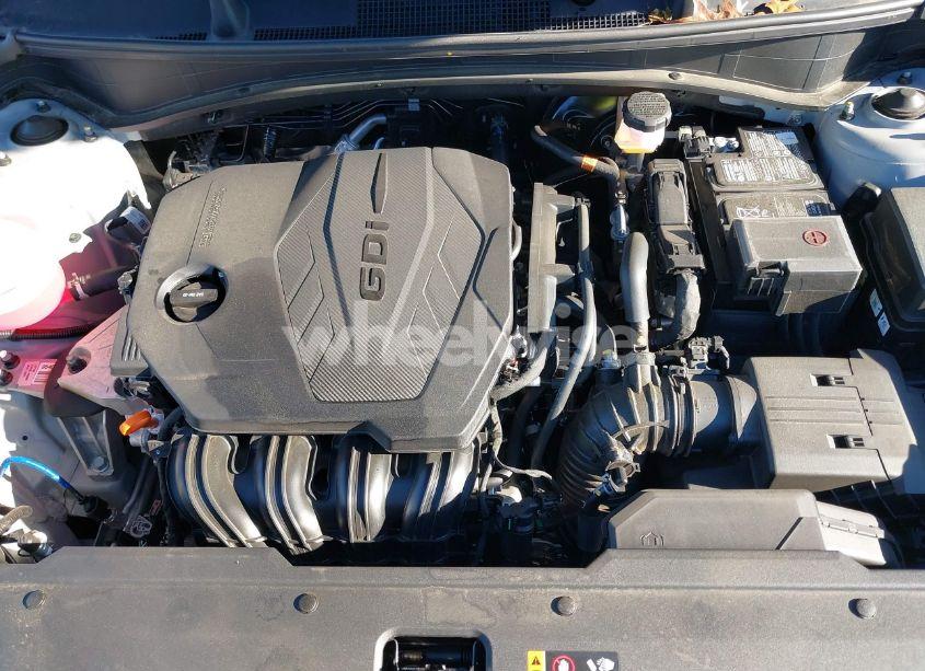 Photo 10 of 2024 Kia Sportage SX-PRESTIGE (VIN 5XYK5CDF9RG172450)