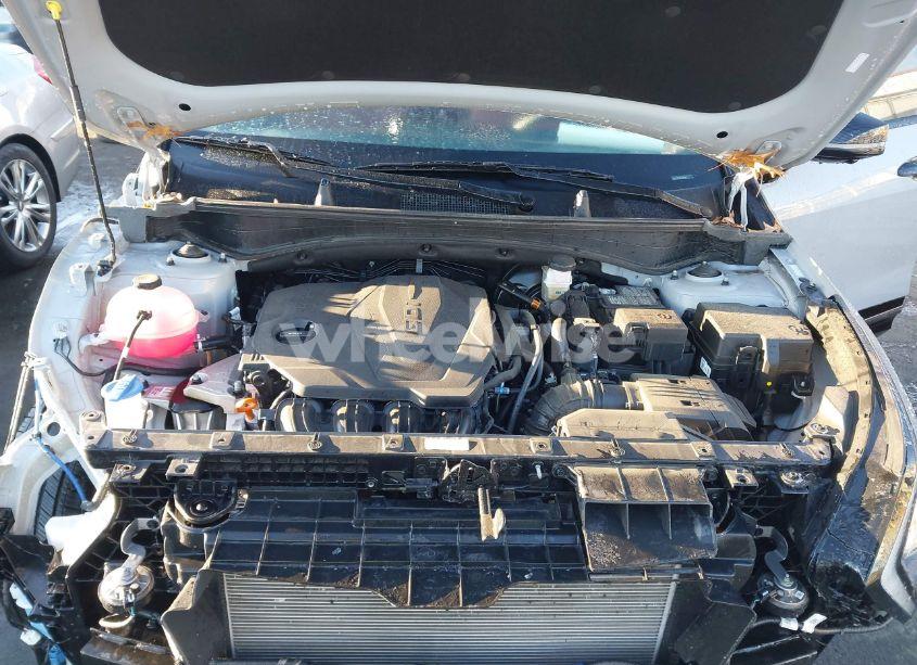 Photo 10 of 2024 Kia Sportage SX-PRESTIGE (VIN 5XYK5CDF9RG185957)