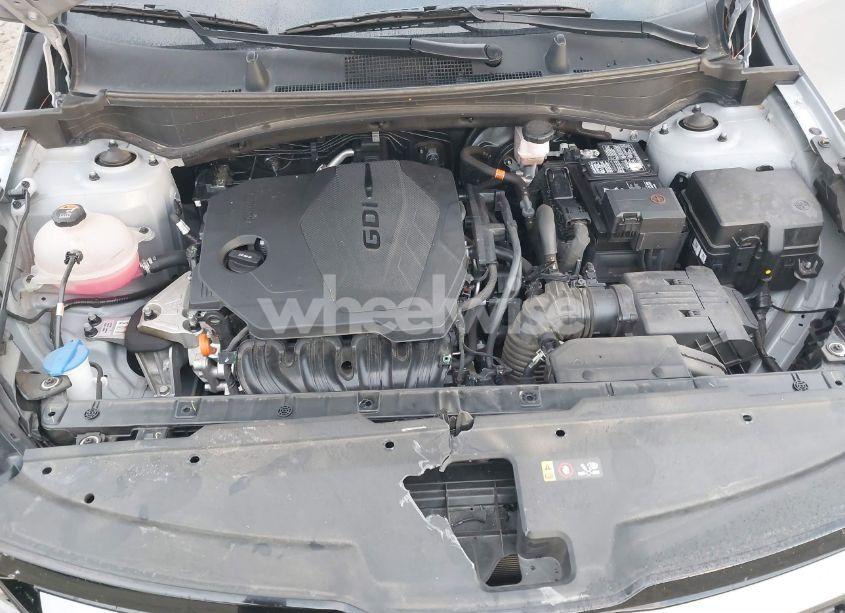 Photo 10 of 2023 Kia Sportage X-LINE (VIN 5XYK6CAF0PG092470)