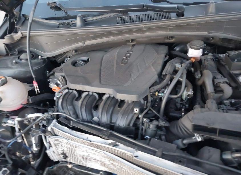 Photo 10 of 2023 Kia Sportage X-LINE (VIN 5XYK6CAF1PG007748)