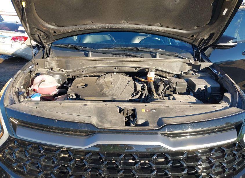 Photo 10 of 2023 Kia Sportage X-LINE (VIN 5XYK6CAF1PG129025)