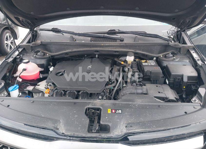 Photo 10 of 2023 Kia Sportage X-LINE (VIN 5XYK6CAF3PG017214)