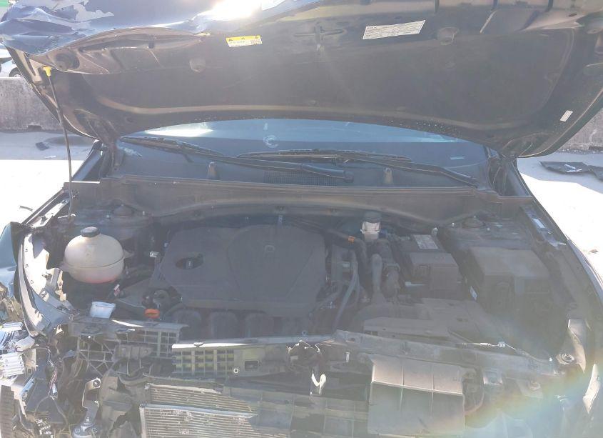 Photo 10 of 2023 Kia Sportage X-LINE (VIN 5XYK6CAF3PG020386)