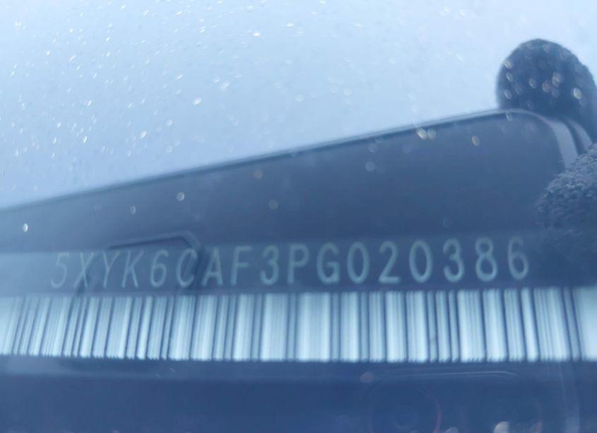 Photo 18 of 2023 Kia Sportage X-LINE (VIN 5XYK6CAF3PG020386)