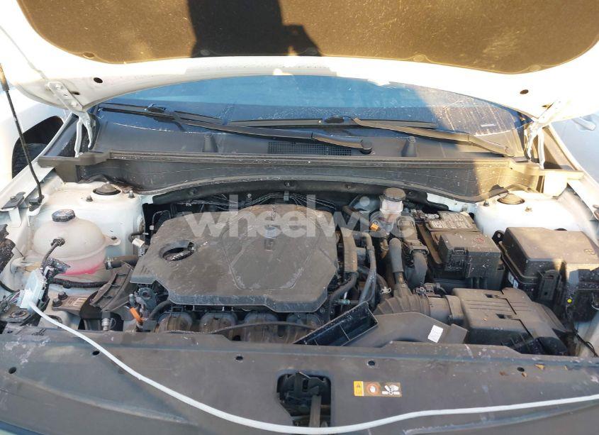 Photo 10 of 2023 Kia Sportage X-LINE (VIN 5XYK6CAF5PG001306)