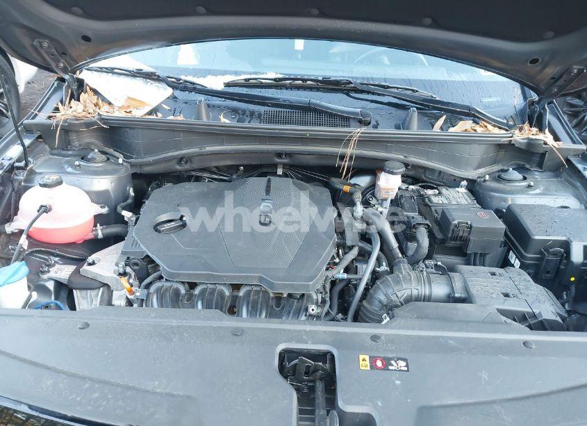 Photo 10 of 2023 Kia Sportage X-LINE (VIN 5XYK6CAF5PG066821)