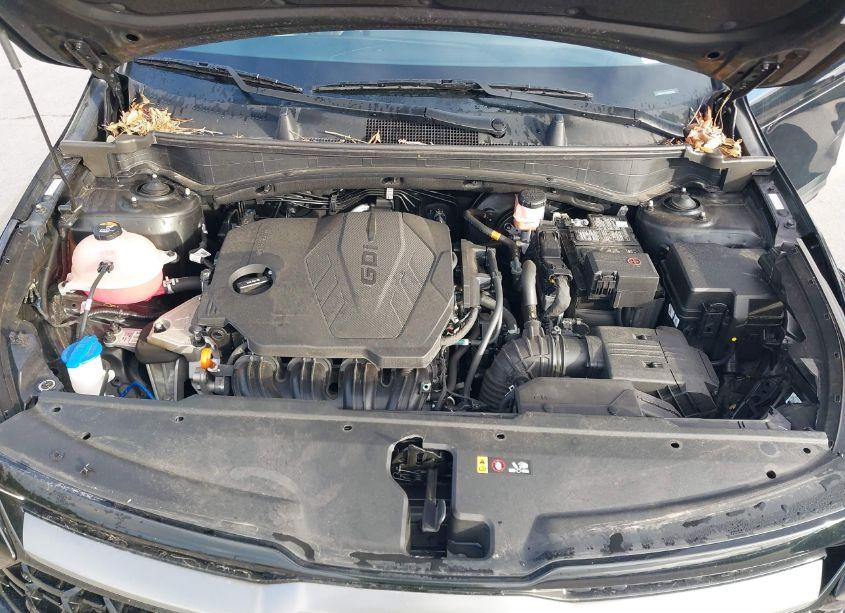 Photo 10 of 2023 Kia Sportage X-LINE (VIN 5XYK6CAF5PG085806)