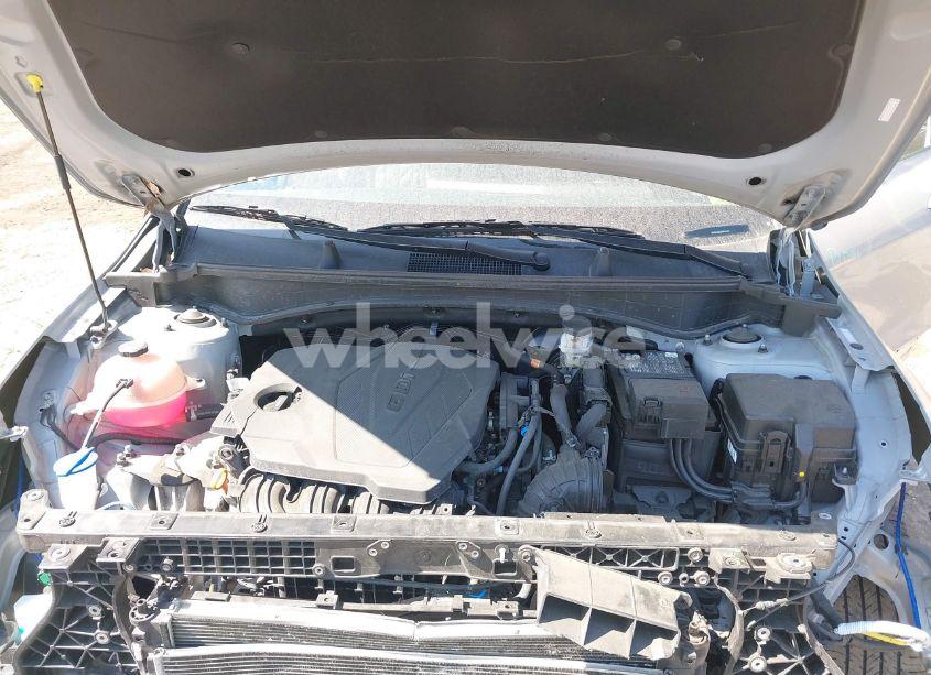 Photo 10 of 2023 Kia Sportage X-LINE (VIN 5XYK6CAF5PG095266)