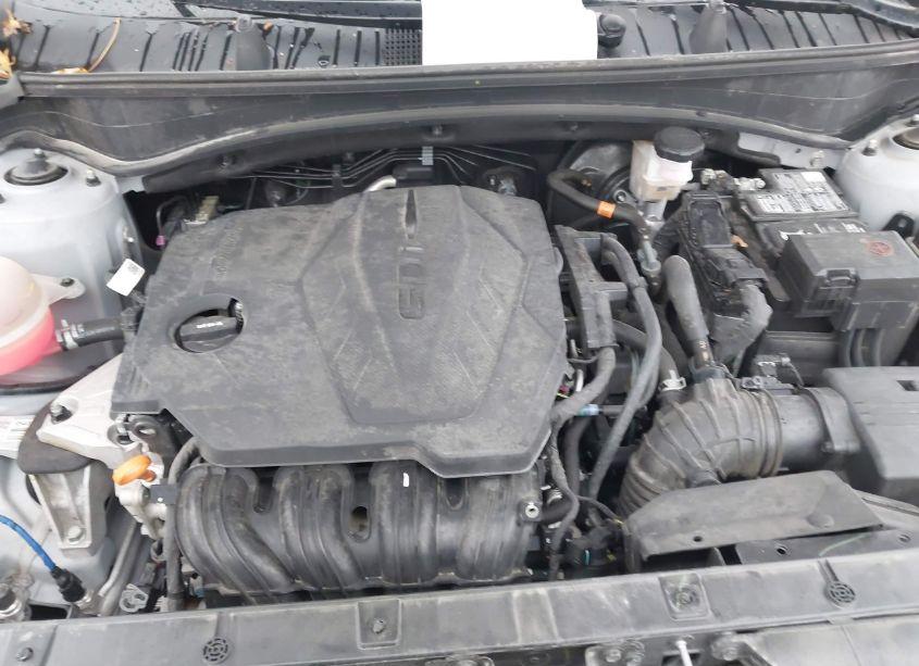 Photo 10 of 2023 Kia Sportage X-LINE (VIN 5XYK6CAF5PG129738)