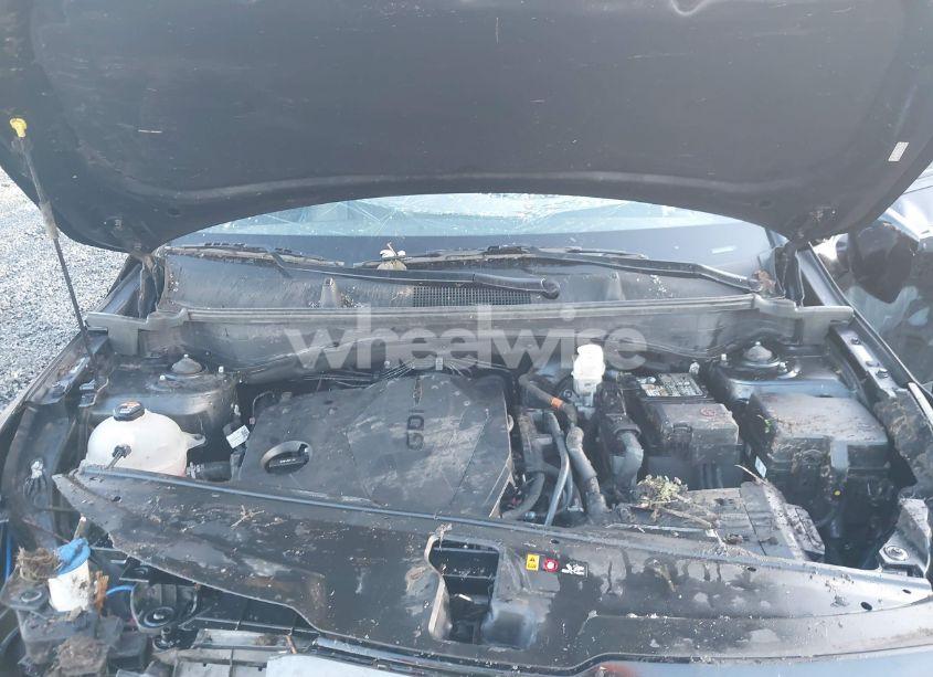 Photo 10 of 2023 Kia Sportage X-LINE (VIN 5XYK6CAF6PG024500)