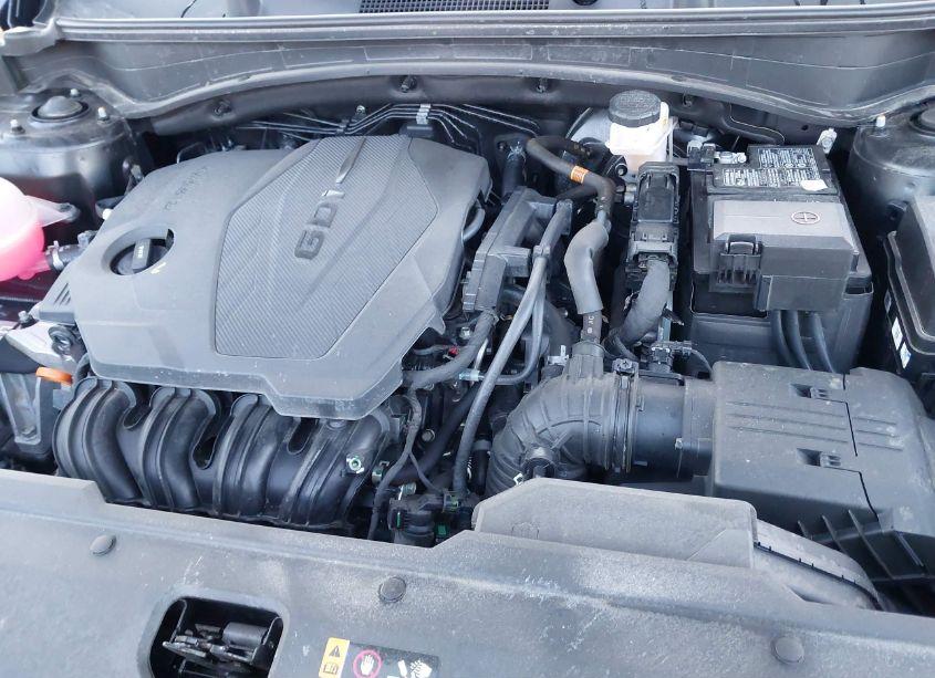 Photo 10 of 2023 Kia Sportage X-LINE (VIN 5XYK6CAF6PG029017)