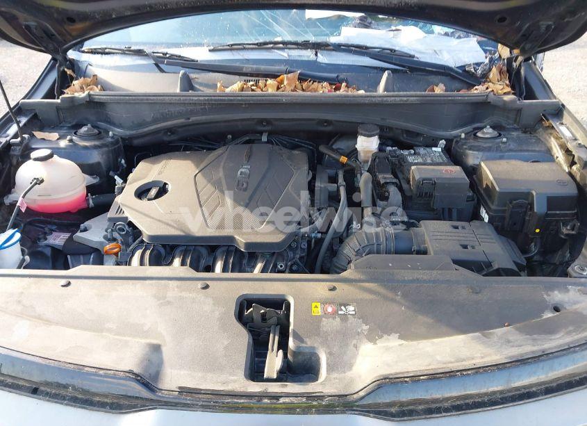 Photo 10 of 2023 Kia Sportage X-LINE (VIN 5XYK6CAF6PG048196)