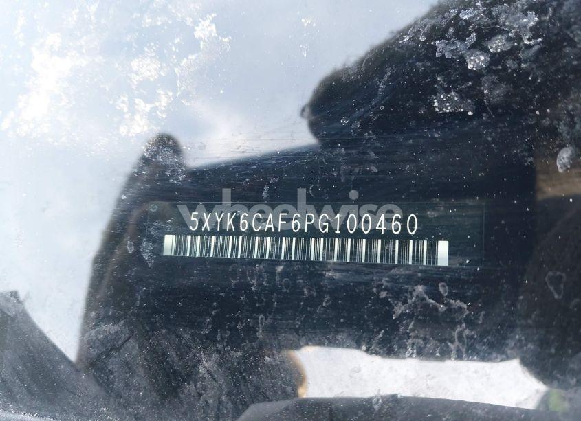 Photo 17 of 2023 Kia Sportage X-LINE (VIN 5XYK6CAF6PG100460)