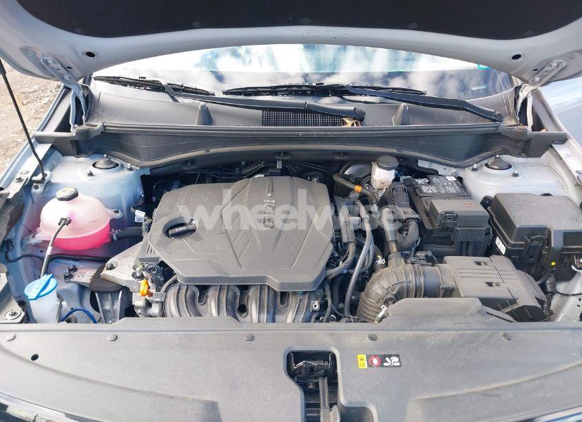 Photo 10 of 2023 Kia Sportage X-LINE (VIN 5XYK6CAF7PG127635)