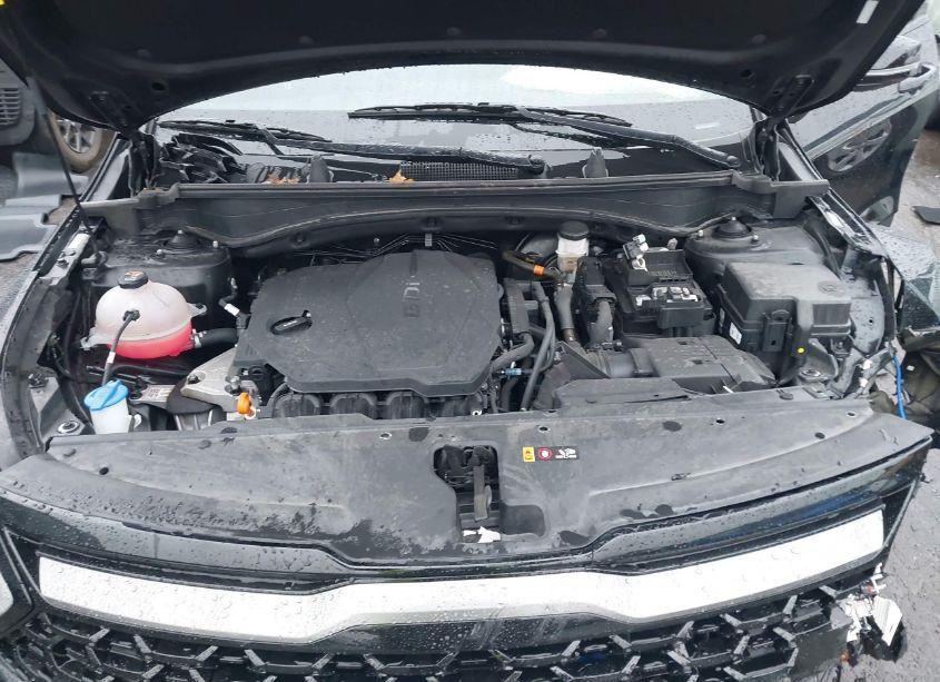 Photo 10 of 2023 Kia Sportage X-LINE (VIN 5XYK6CAF7PG128994)