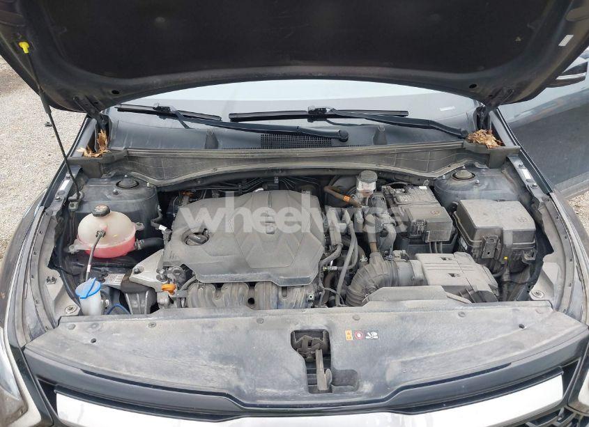 Photo 10 of 2023 Kia Sportage X-LINE (VIN 5XYK6CAF8PG025115)