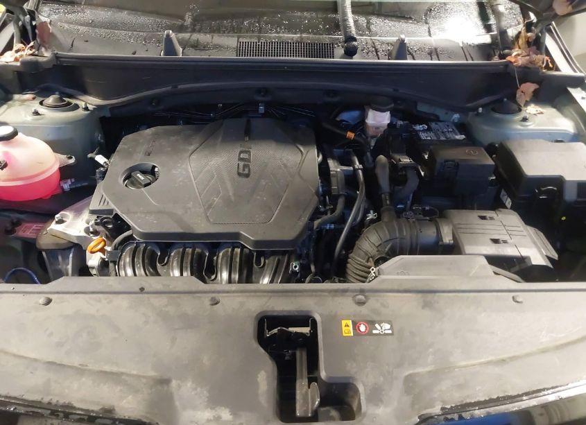 Photo 10 of 2023 Kia Sportage X-LINE (VIN 5XYK6CAF8PG045641)