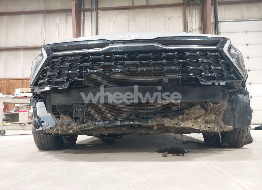 Photo 6 of 2023 Kia Sportage X-LINE (VIN 5XYK6CAF8PG111802)