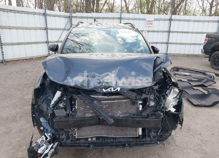 Photo 12 of 2023 Kia Sportage X-LINE (VIN 5XYK6CAF8PG118295)