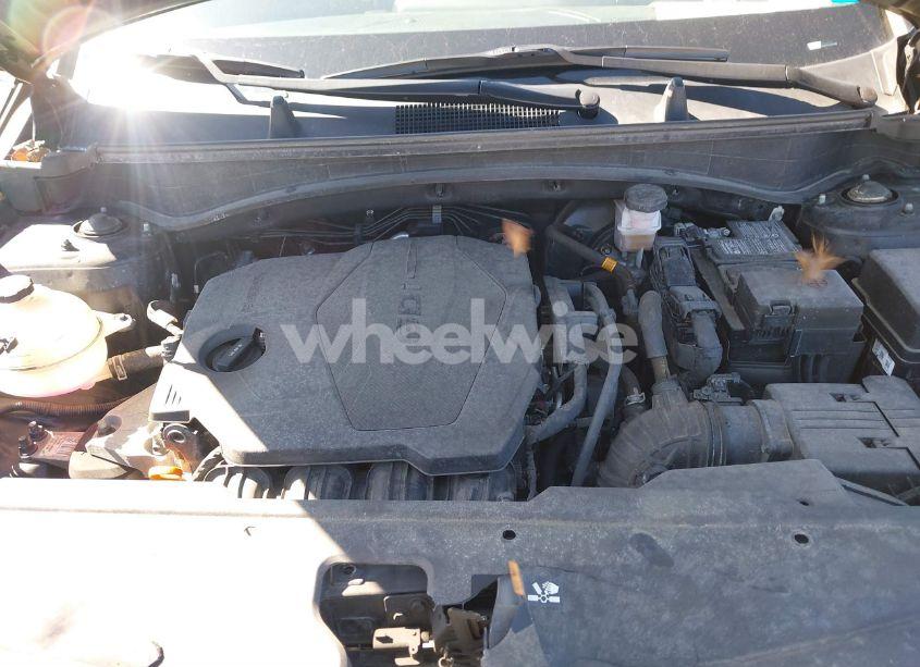 Photo 10 of 2023 Kia Sportage X-LINE (VIN 5XYK6CAF9PG002359)