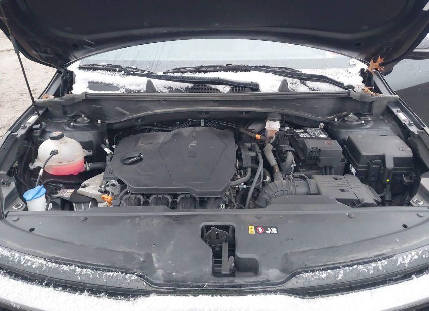 Photo 10 of 2023 Kia Sportage X-LINE (VIN 5XYK6CAF9PG026659)