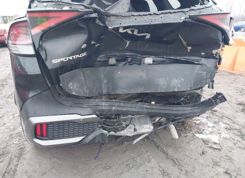 Photo 6 of 2023 Kia Sportage X-LINE (VIN 5XYK6CAF9PG026659)