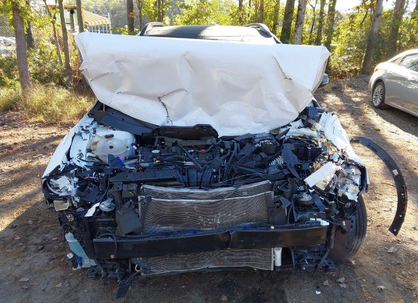 Photo 12 of 2023 Kia Sportage X-LINE (VIN 5XYK6CAF9PG094542)